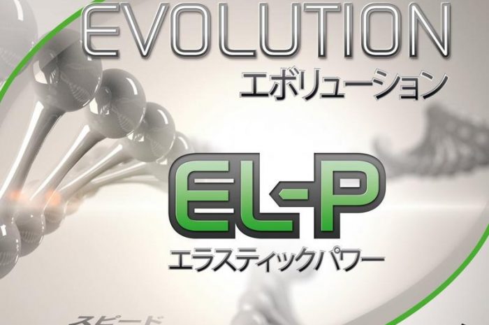 Tibhar Evolution EL-P – Erfahrungsbericht